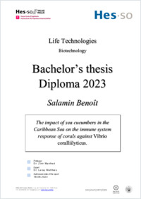 TB_Benoît Salamin.pdf